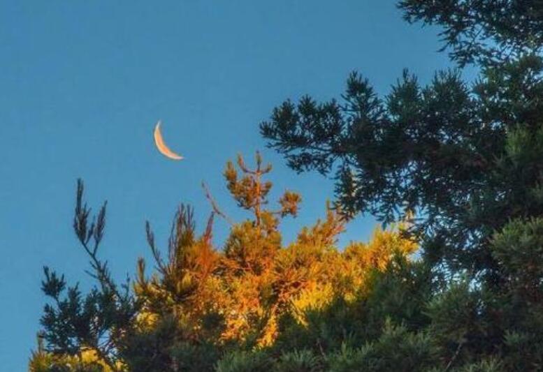 写给孩子的心灵鸡汤