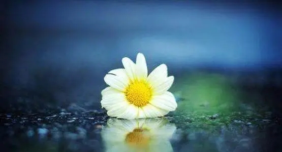 寺庙适合发朋友圈的句子文案