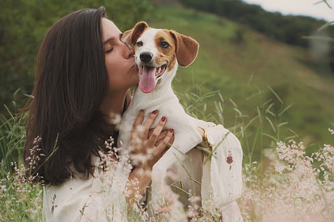 表达爱上已婚的人句子文案