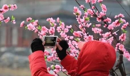三月看花的说说文案