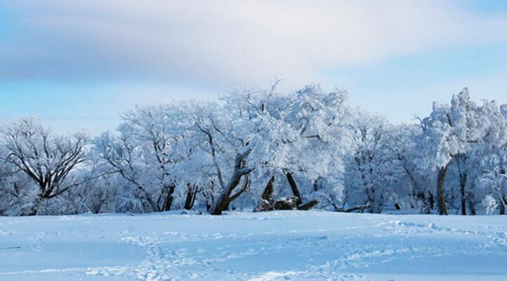 冬天雾凇江岸句子文案