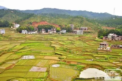 描写乡村美景的一段话