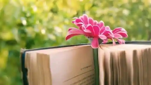 了解一个人的句子文案经典语录