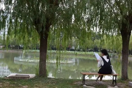 校园风景美的简短句子文案