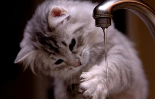 搞笑冲业绩朋友圈配图 文字