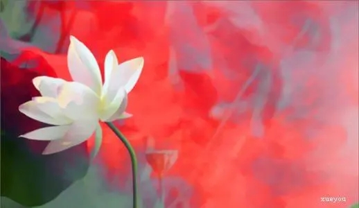 看破红尘心已死的诗句文案