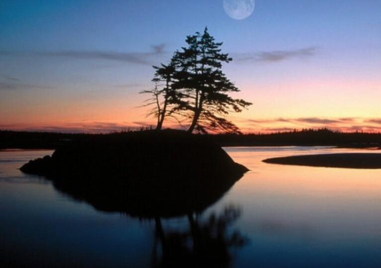 描写水树相映的句子文案