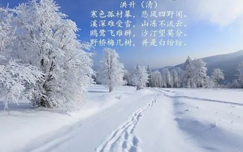 连续两句写雪的古诗