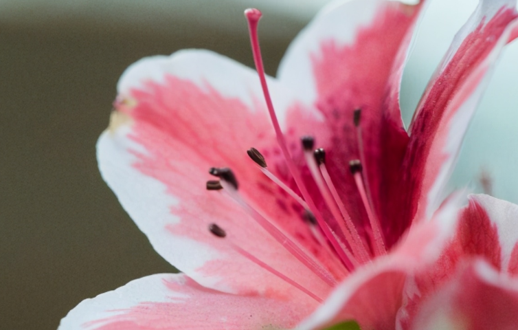 给自己的一些简短句子文案