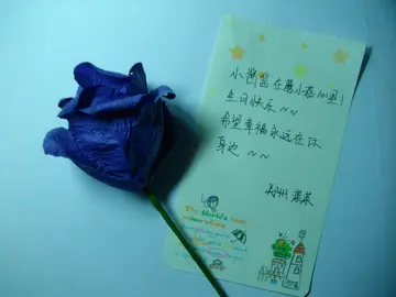 又甜又撩人的生日祝福语