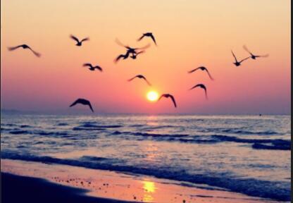 积极向上正能量八字短句