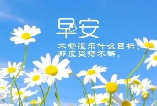 一句话精致早安问候语