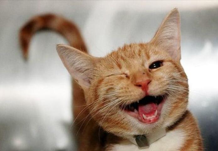 形容笑得好看的句子文案