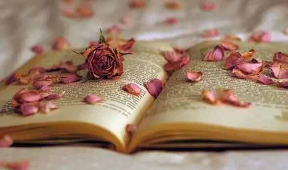 形容平淡知足的句子文案