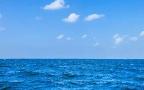 描写大海的优美句
