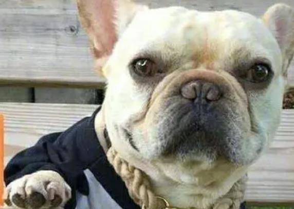 关于减肥的幽默句子文案大全