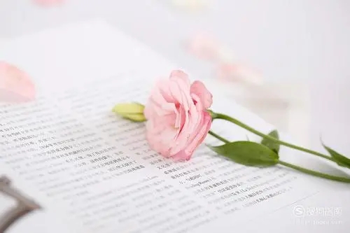 描写精致生活的名言