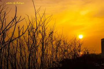 暮色的优美句子文案