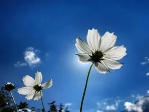 为自己犯的错买单感悟