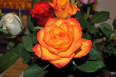 超暖心的爱情经典语录文案