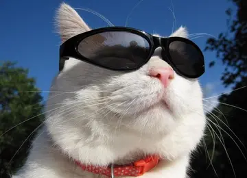 特别霸气特别拽的个性签名