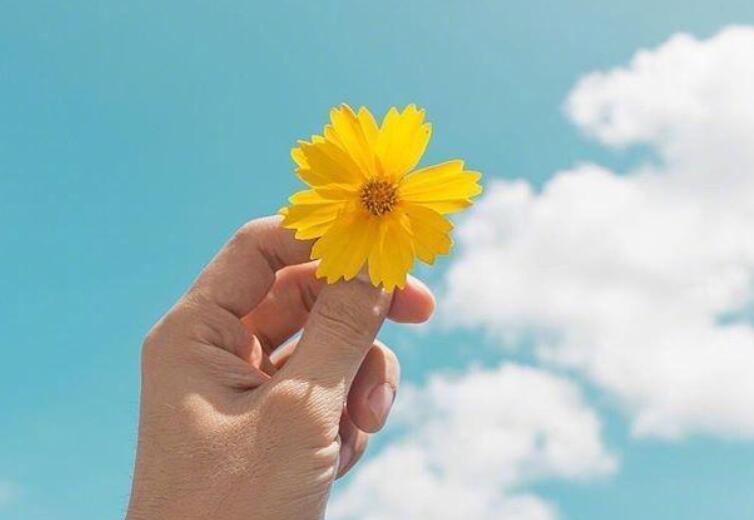 描写人物的好句文案好段摘抄大全