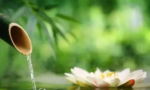 沉下心不浮躁的名言