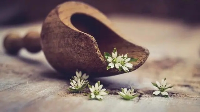 讽刺耍心机的人的句子文案