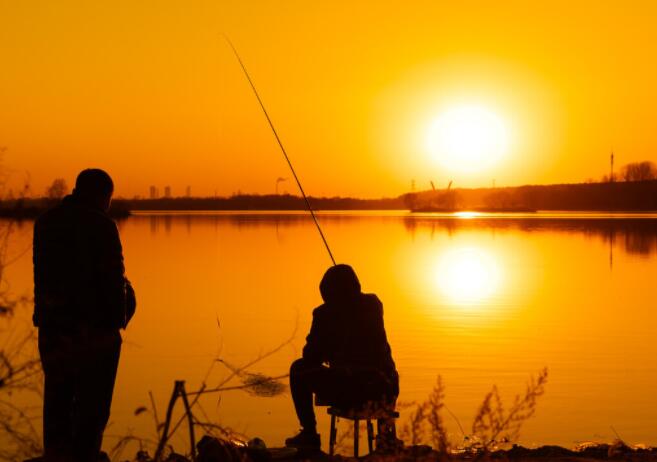 感恩父母的文章