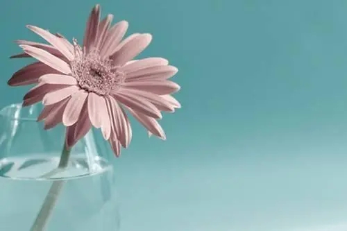 安慰男朋友心累的暖心句子文案