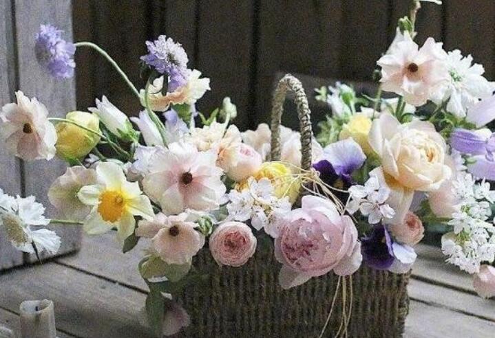 经典英文语录文案励志