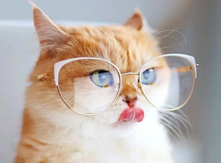 可爱俏皮的文案