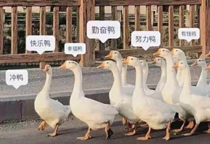 欢迎回家暖心的句子文案