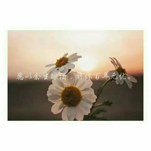 关于精致的唯美句子文案