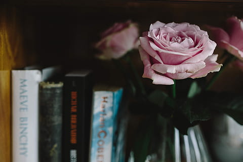 失望心痛的句子文案句句刺心