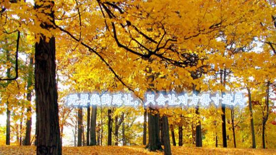 人的忍耐是有限度的句子文案说说