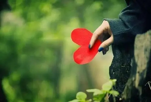 对失去的东西表示惋惜的诗句文案