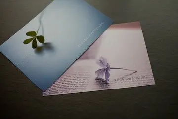 关于品味生活的优美文案