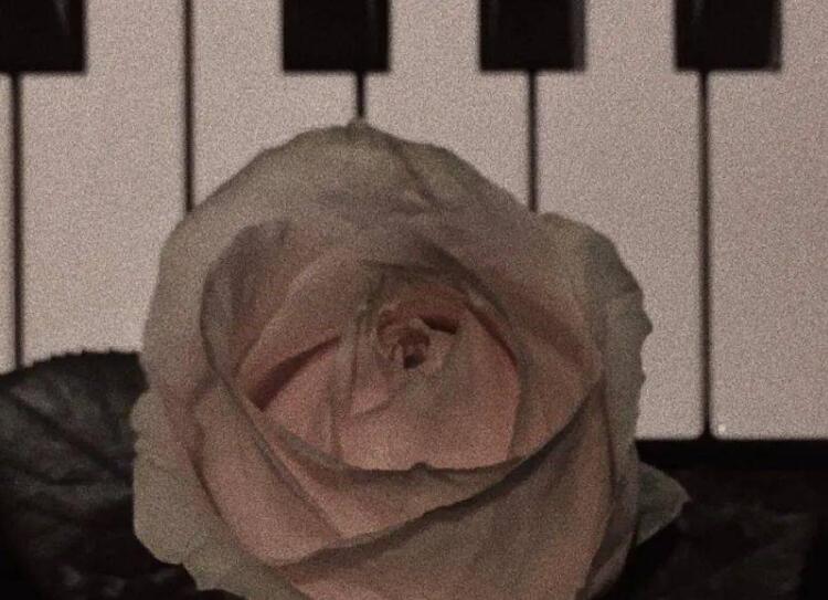 抖音情感文案伤感