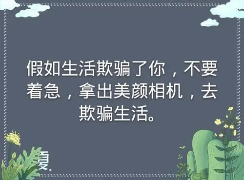 美颜的幽默句子文案