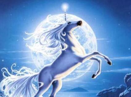 关于独角兽励志的句子文案