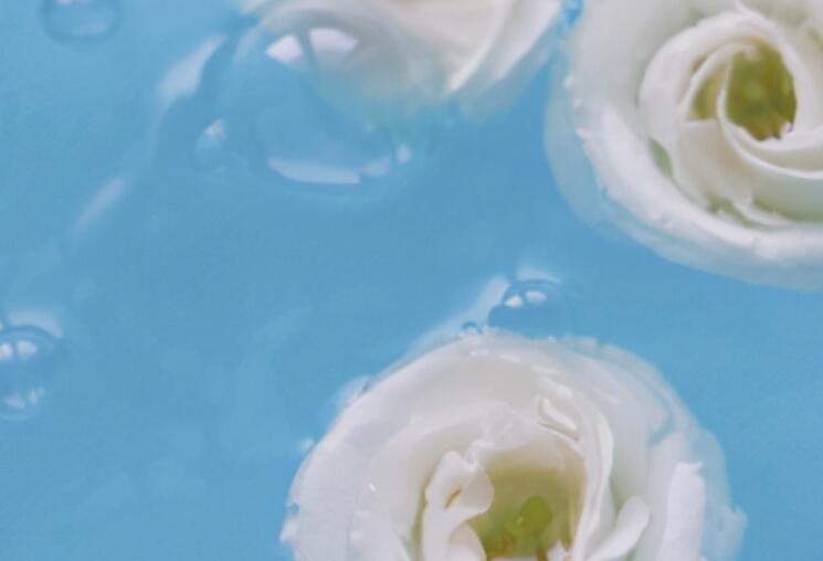 赞美的经典语句文案大全