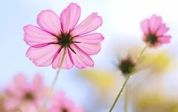 微信群正能量的句子文案