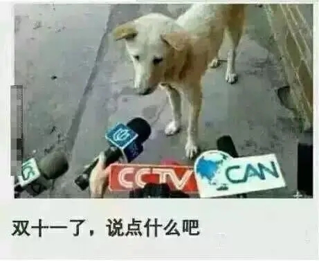 2024单身狗搞笑说说文案