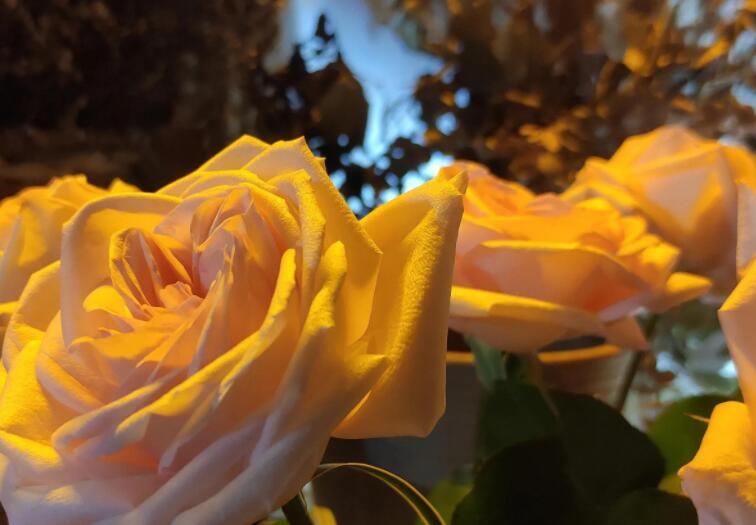 被骂了心里憋屈的朋友圈