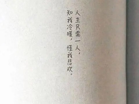 文艺的夸人句子文案