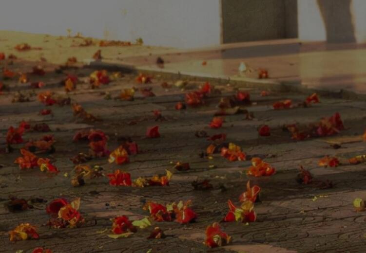 错过了感情的经典语录文案