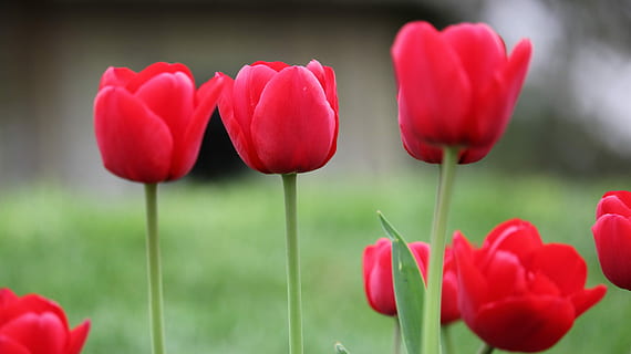 写给女朋友的句子文案暖心