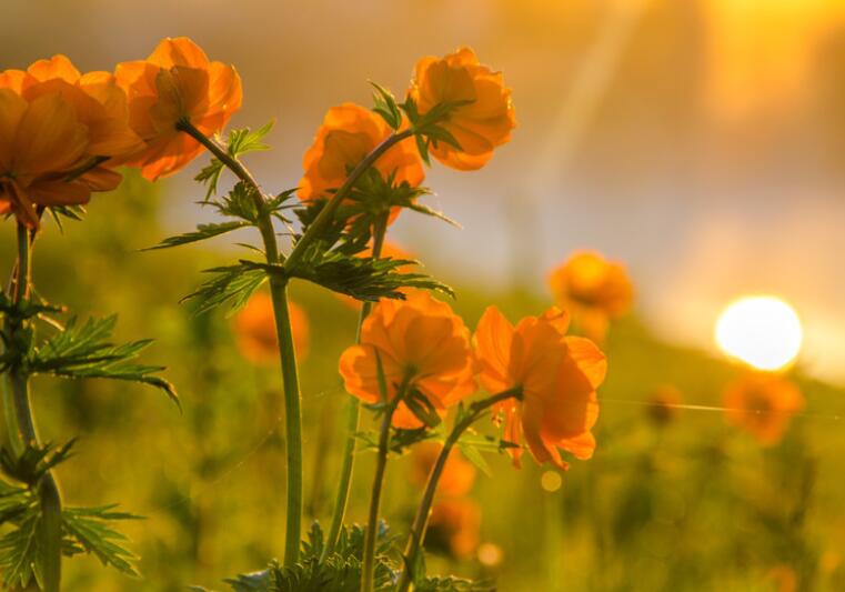 女王范超拽签名