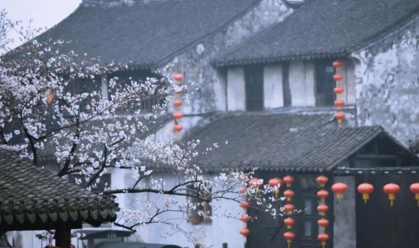 关于花的名言名句文案